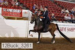 12buck_3261 proof