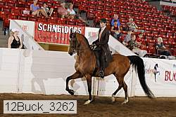 12buck_3262 proof