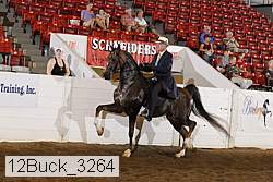 12buck_3264 proof