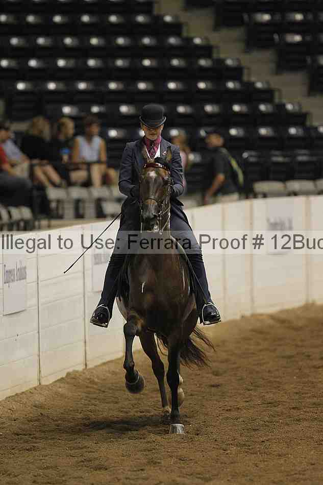 Proof 12buck_3265