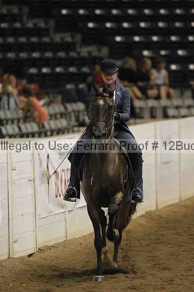 Proof 12buck_3266