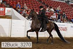 12buck_3270 proof