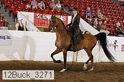 12buck_3271 proof