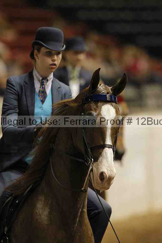Proof 12buck_3276