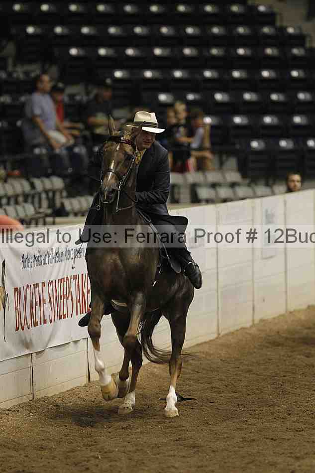 Proof 12buck_3279