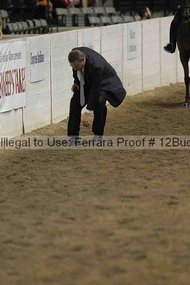Proof 12buck_3281