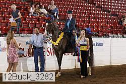 12buck_3282 proof