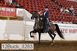 12buck_3283 proof