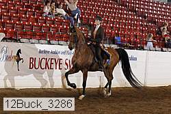 12buck_3286 proof