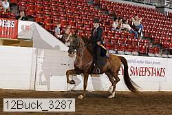 12buck_3287 proof