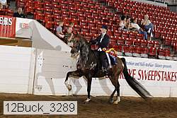 12buck_3289 proof