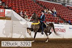 12buck_3292 proof