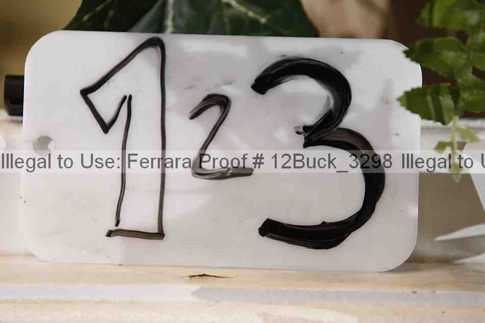 Proof 12buck_3298