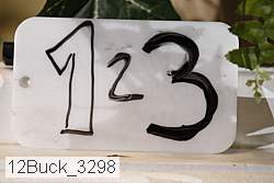 12buck_3298 proof