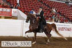 12buck_3300 proof