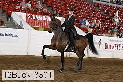 12buck_3301 proof