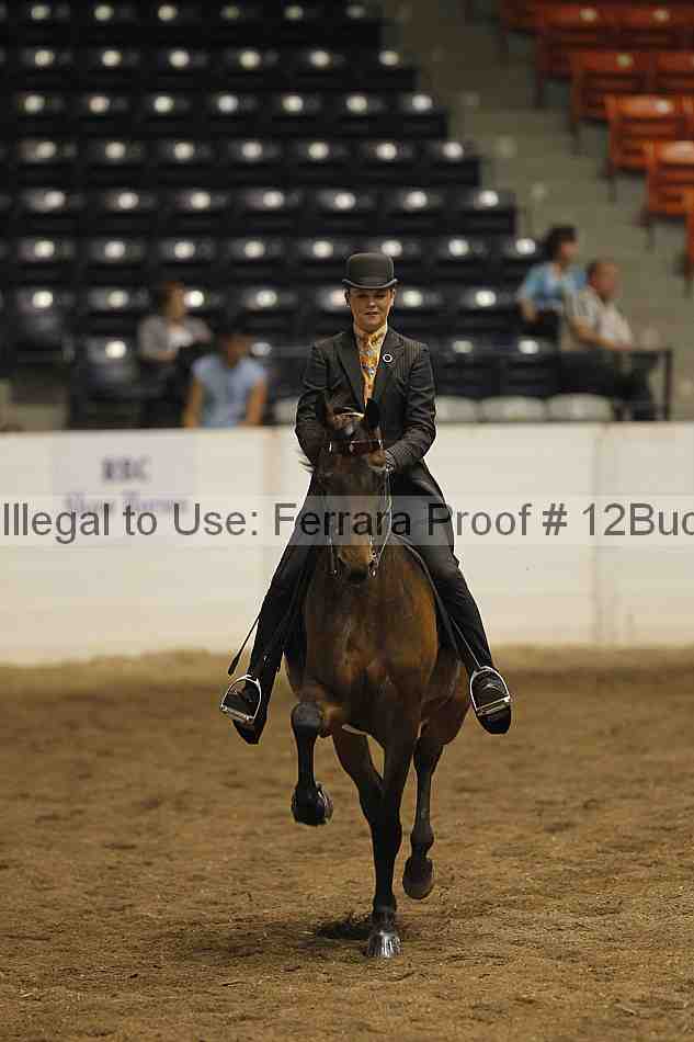 Proof 12buck_3305