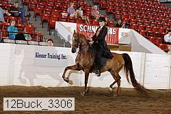 12buck_3306 proof