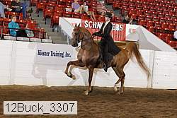 12buck_3307 proof