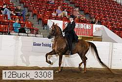 12buck_3308 proof