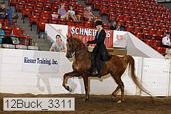 12buck_3311 proof