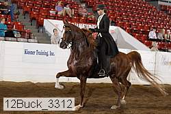 12buck_3312 proof