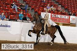 12buck_3314 proof