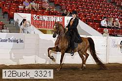12buck_3321 proof