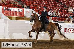 12buck_3324 proof