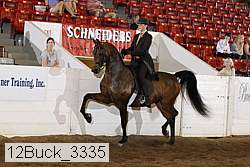 12buck_3335 proof