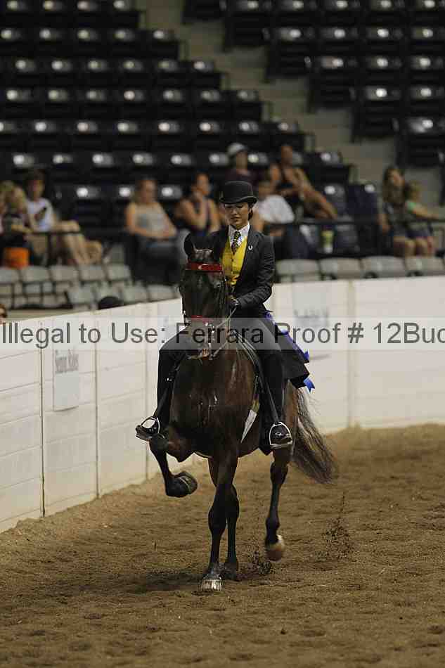 Proof 12buck_3354
