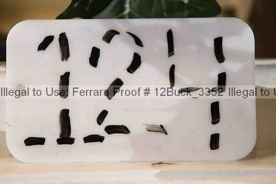 Proof 12buck_3352