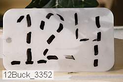 12buck_3352 proof