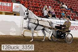 12buck_3356 proof