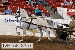 12buck_3357 proof