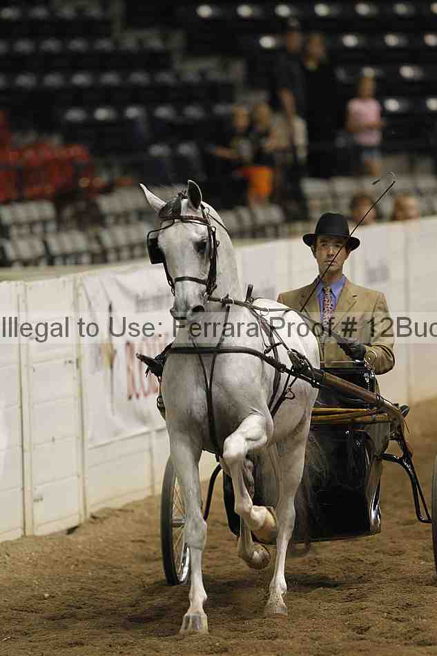 Proof 12buck_3358
