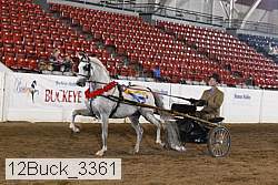 12buck_3361 proof