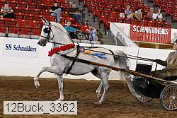 12buck_3362 proof