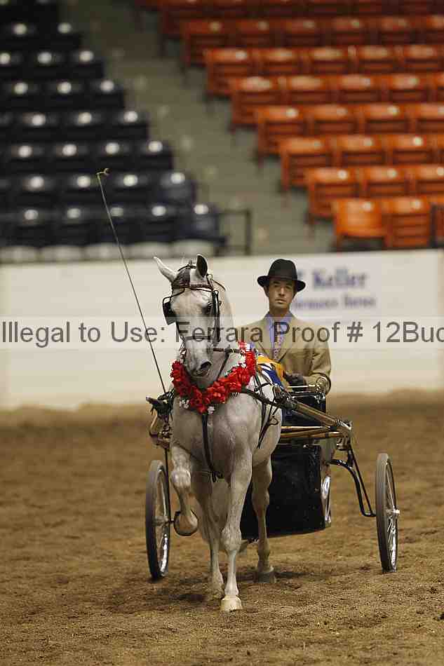 Proof 12buck_3363