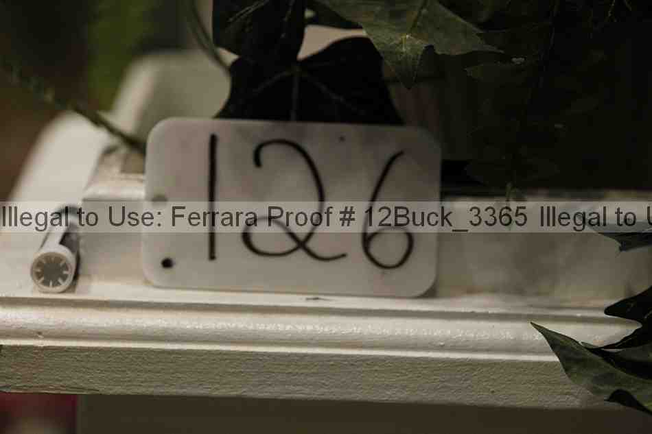 Proof 12buck_3365