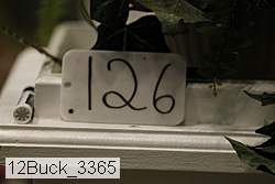 12buck_3365 proof
