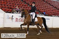 12buck_3366 proof