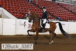 12buck_3367 proof