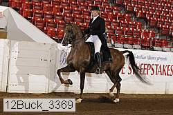 12buck_3369 proof