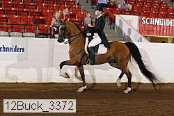 12buck_3372 proof