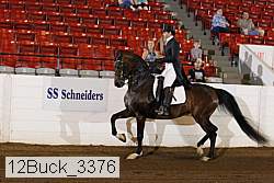 12buck_3376 proof