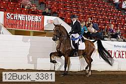 12buck_3381 proof