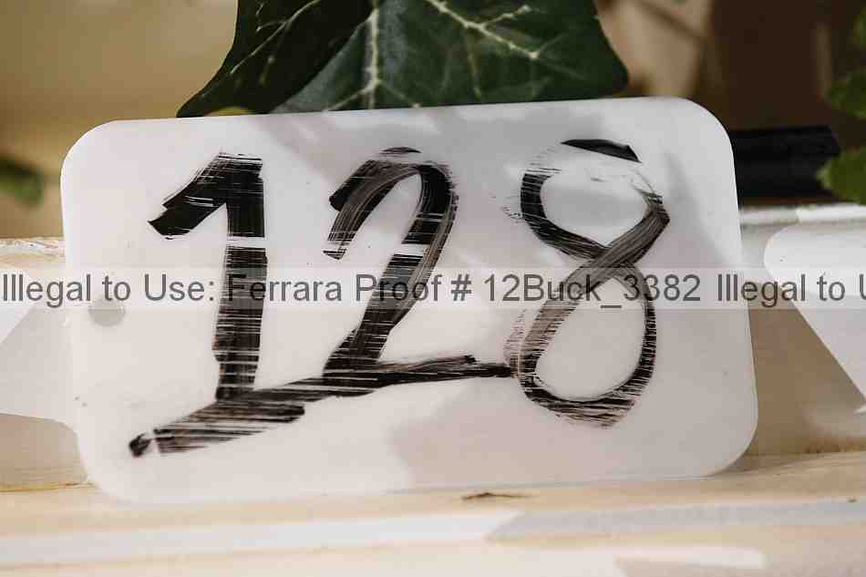 Proof 12buck_3382