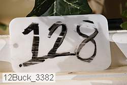 12buck_3382 proof