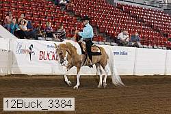 12buck_3384 proof